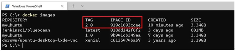 Windows上应用Docker容器技术的动态代码测试-13 小.jpg